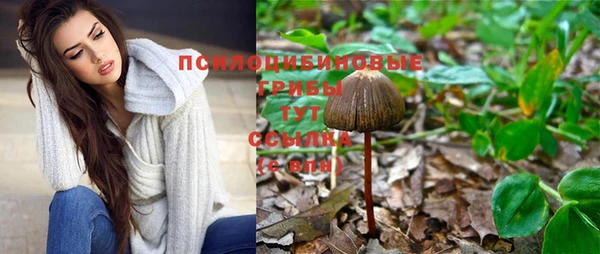 MDMA Premium VHQ Каменногорск