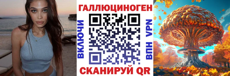 Галлюциногенные грибы Psilocybe  Купить  Терек 